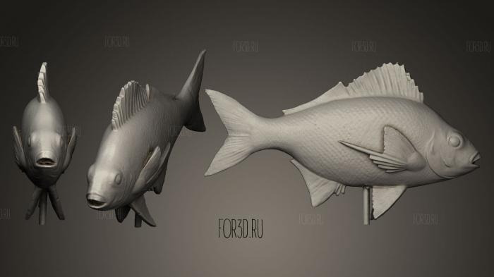 Silverfish 3d stl модель для ЧПУ
